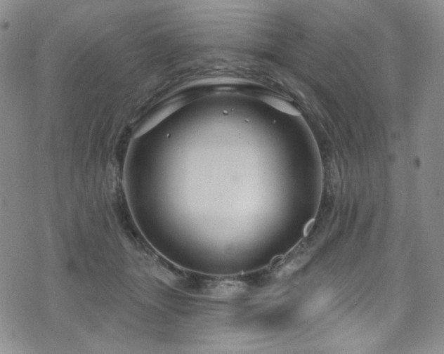 X0000075900463200609151416