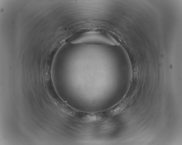 X0000075900464200609151416