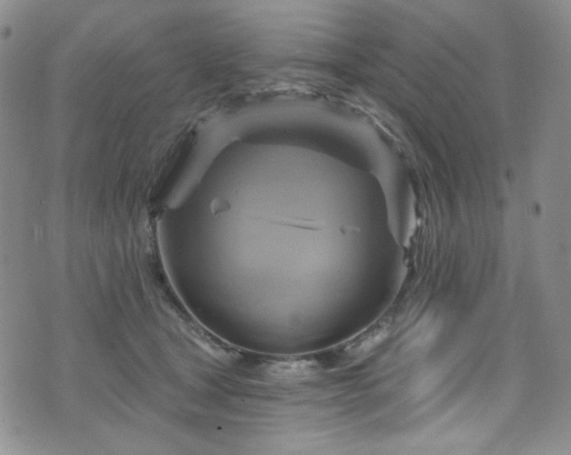 X0000075900465200609151416