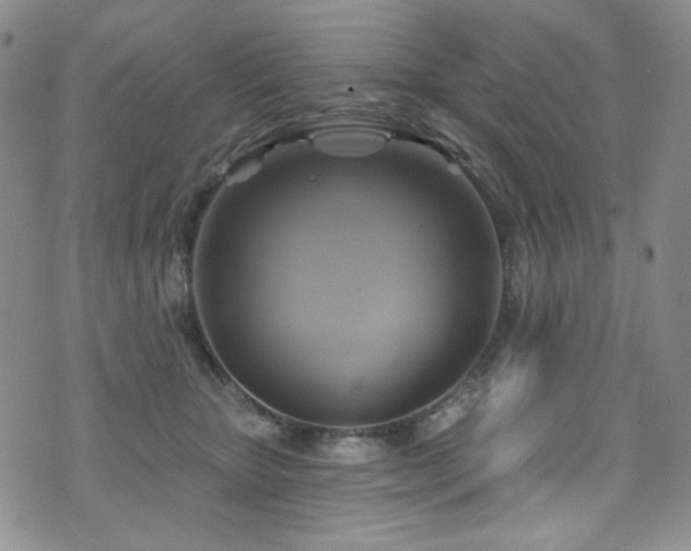 X0000075900467200609151416