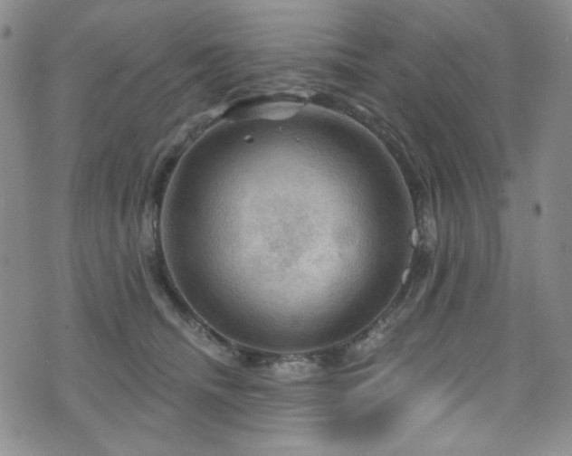 X0000075900468200609151416