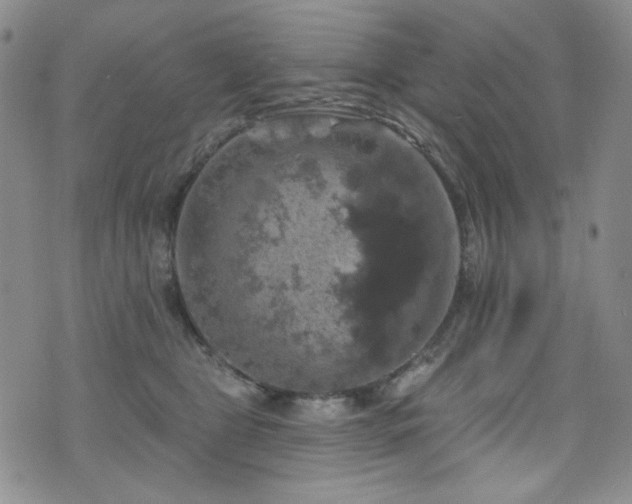 X0000075900469200609151416