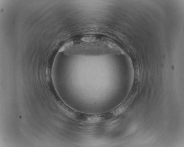 X0000075900470200609151416