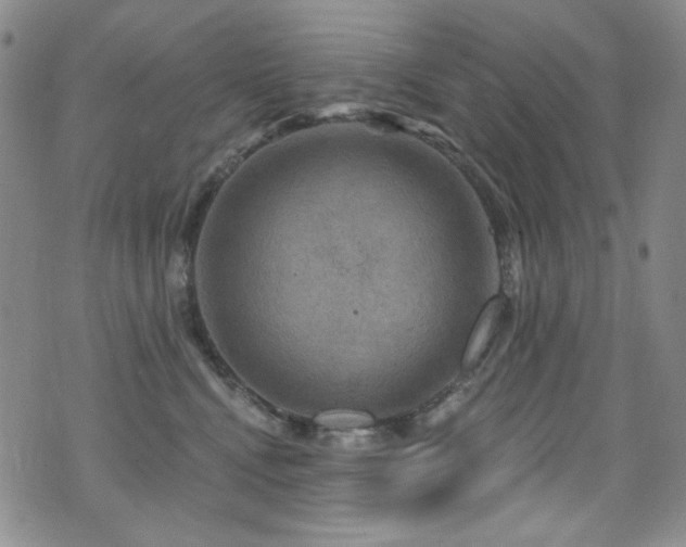 X0000075900472200609151416