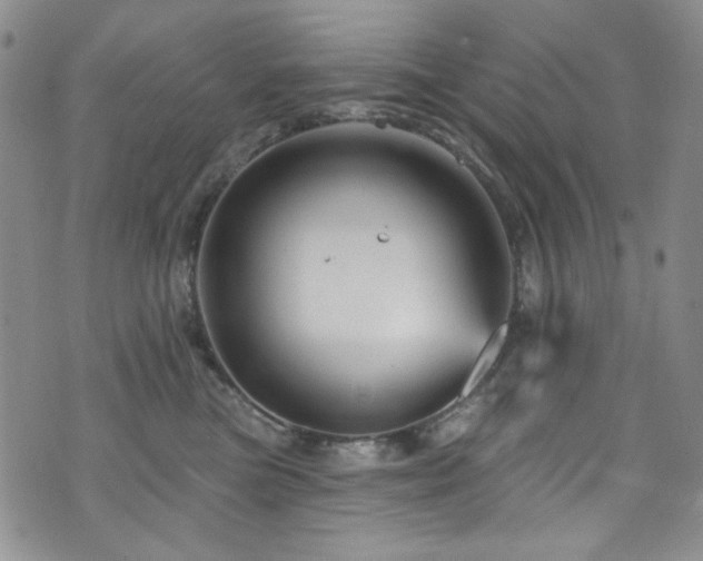 X0000075900473200609151416