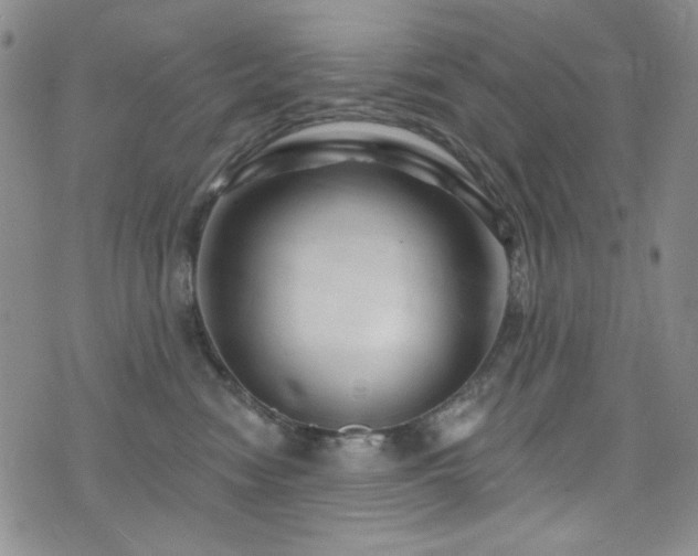 X0000075900474200609151416