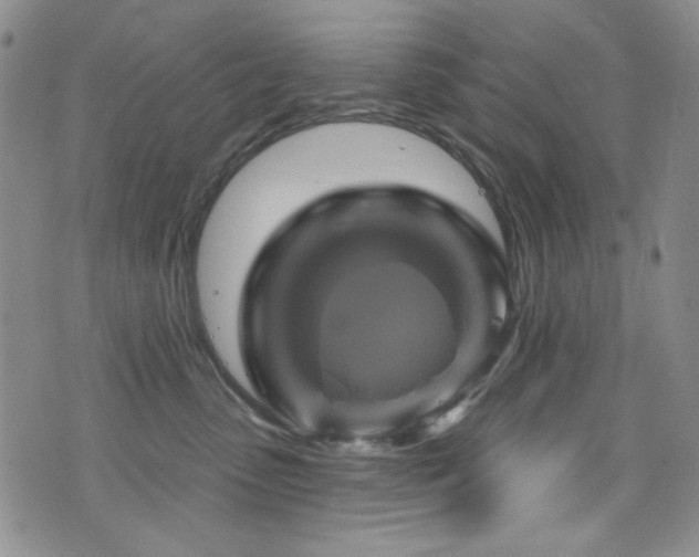 X0000075900475200609151416