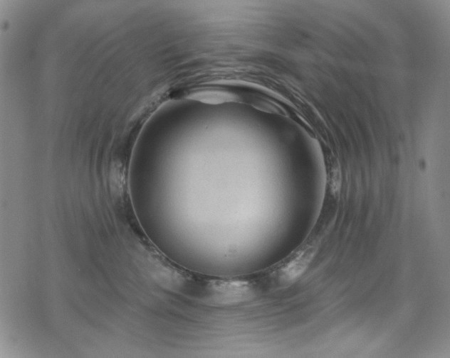 X0000075900476200609151416