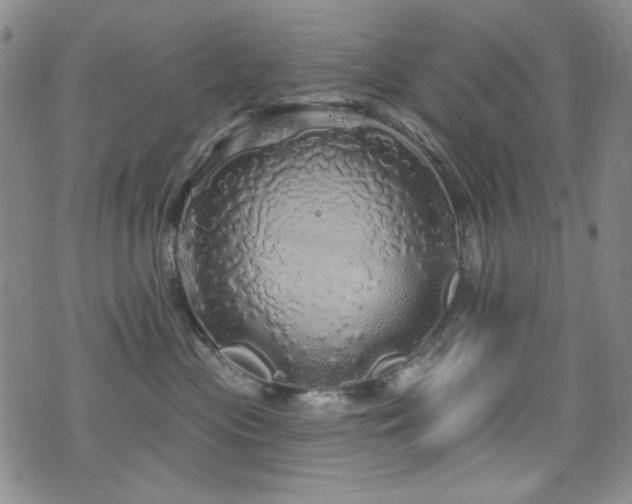 X0000075900477200609151416