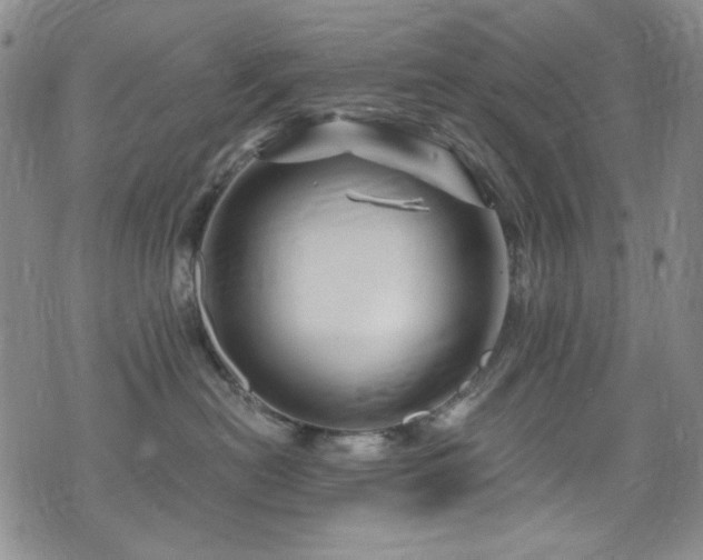 X0000075900478200609151416