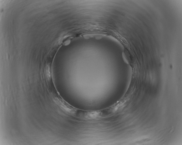 X0000075900479200609151416