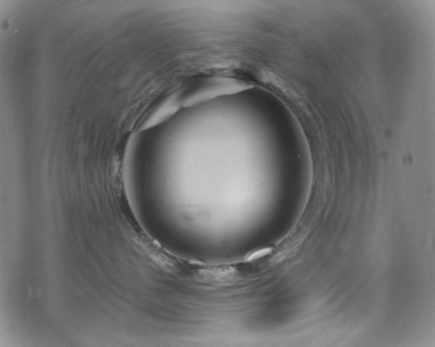 X0000075900480200609151416