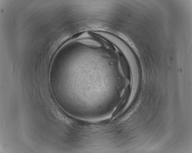 X0000075900481200609151415