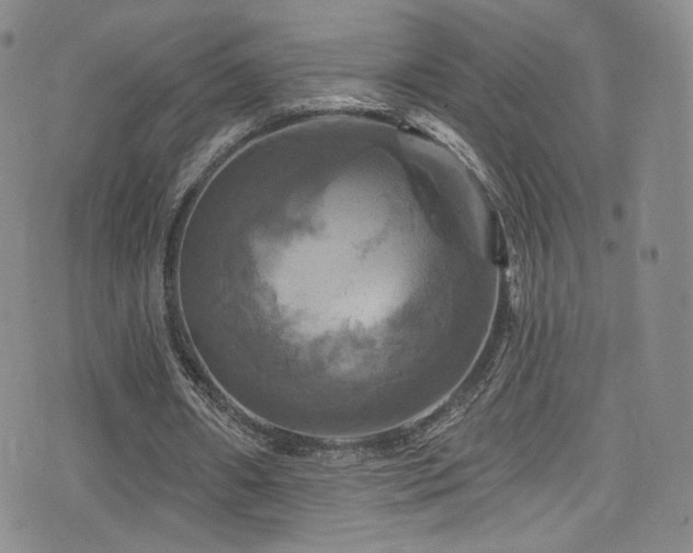 X0000075900482200609151415