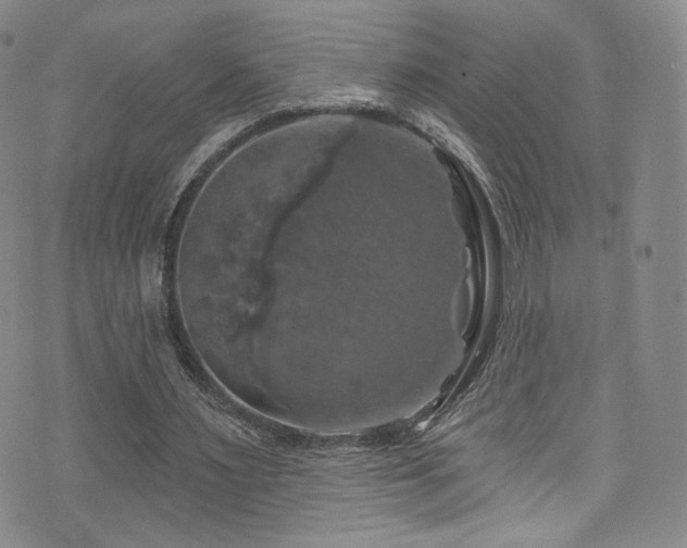 X0000075900483200609151415