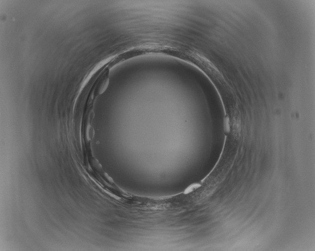 X0000075900484200609151415