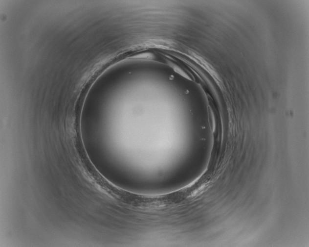 X0000075900485200609151415