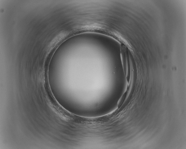 X0000075900486200609151415