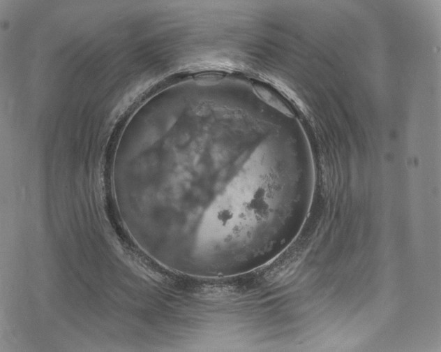 X0000075900487200609151415