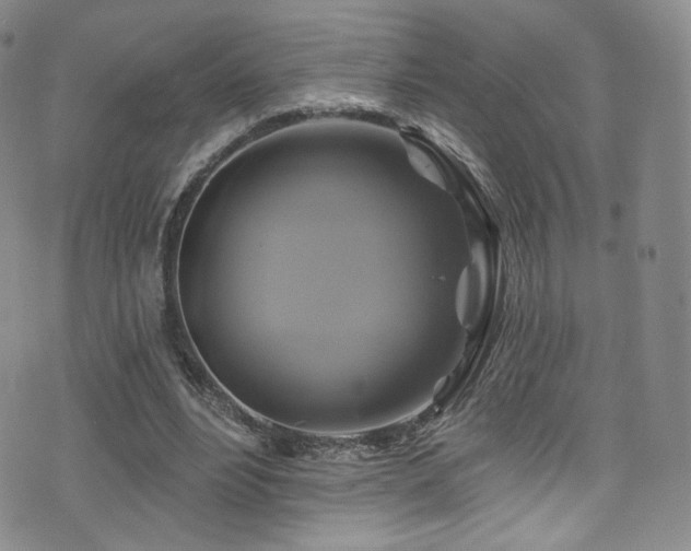 X0000075900488200609151415