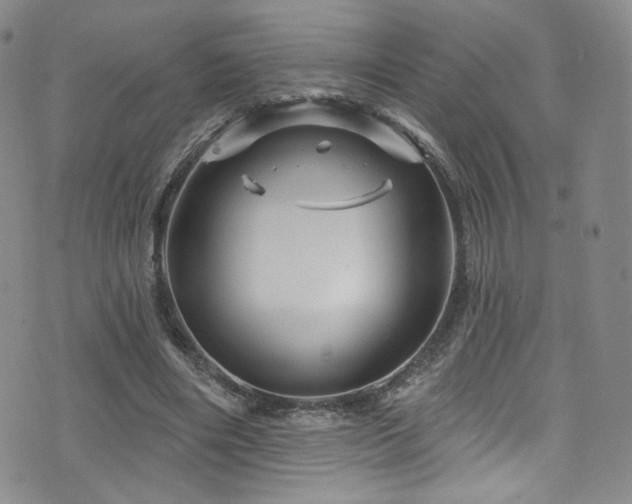 X0000075900490200609151415