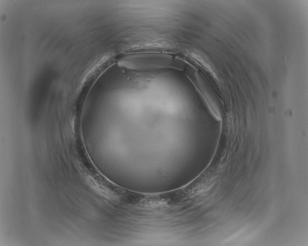 X0000075900491200609151415