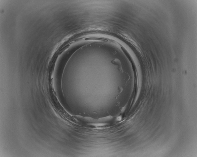 X0000075900492200609151415