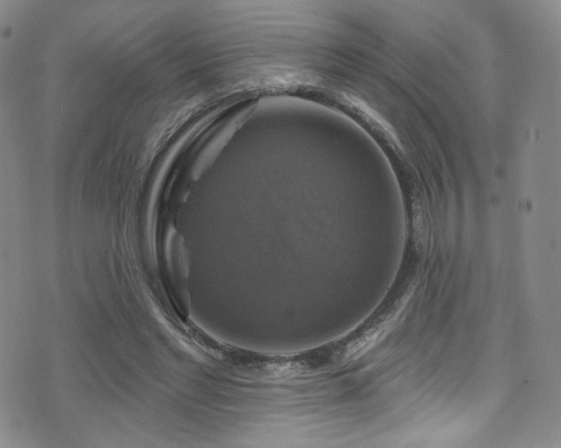 X0000075900493200609151415