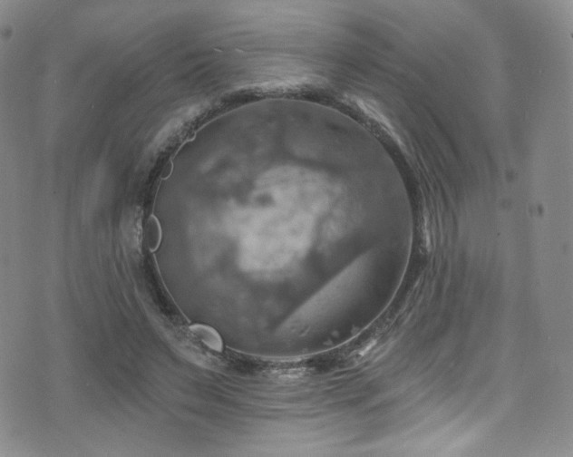 X0000075900495200609151415