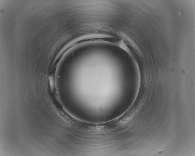 X0000075900497200609151415