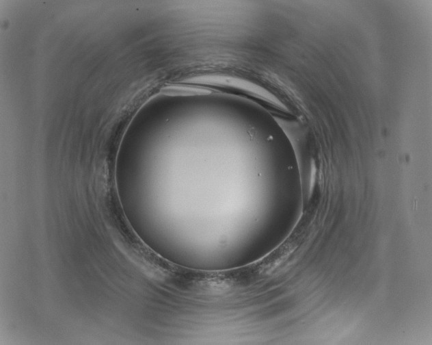 X0000075900498200609151415