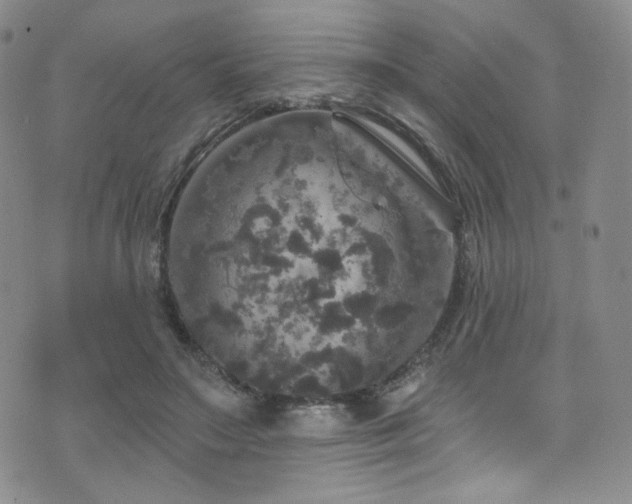 X0000075900499200609151415