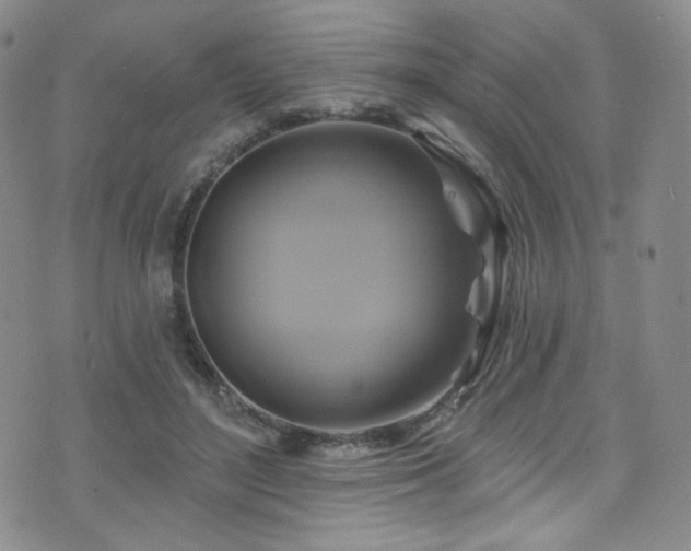 X0000075900500200609151415