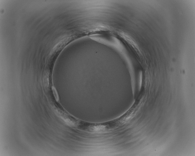 X0000075900501200609151415