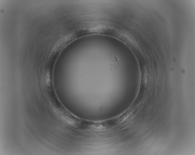 X0000075900502200609151415