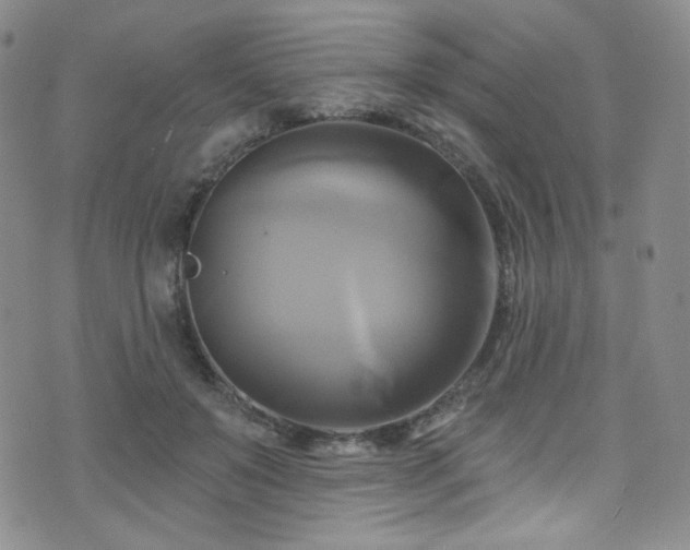 X0000075900503200609151415