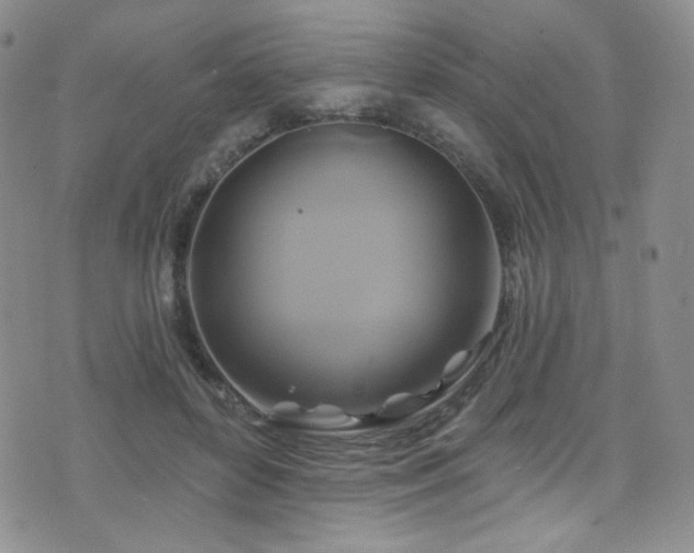 X0000075900504200609151415