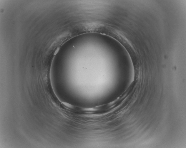 X0000075900505200609151415