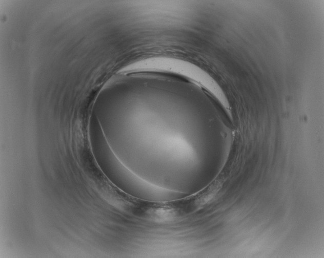 X0000075900506200609151415