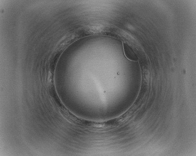 X0000075900507200609151415