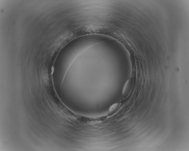 X0000075900508200609151415