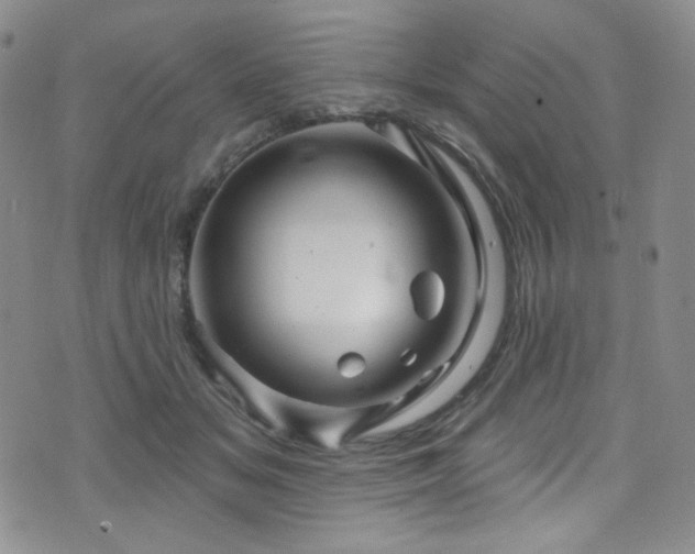 X0000075900509200609151415