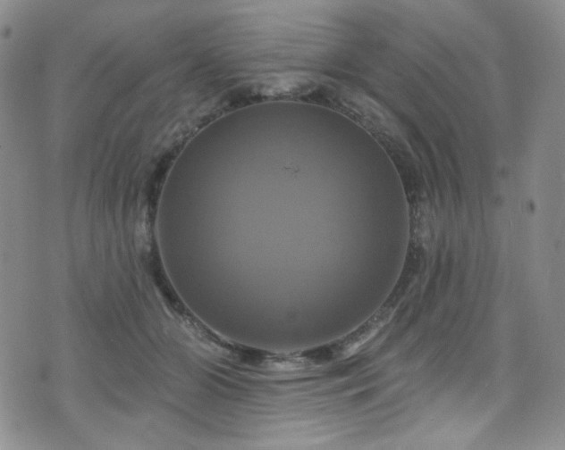 X0000075900510200609151415