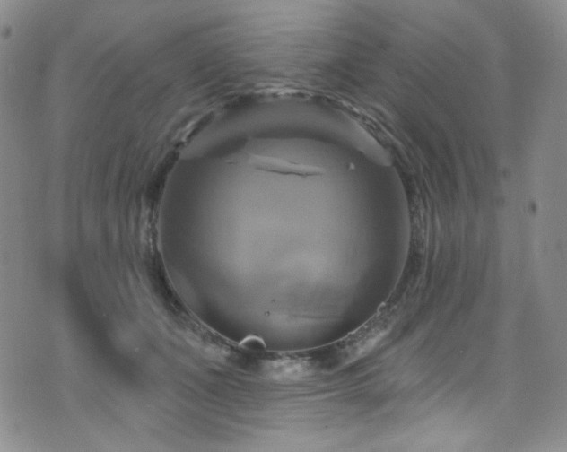 X0000075900511200609151415