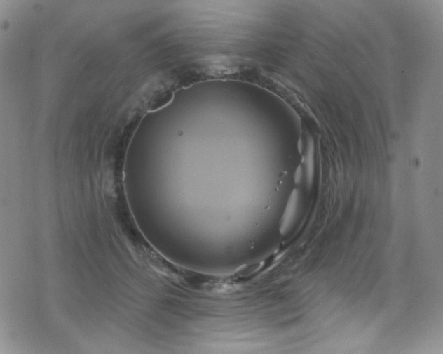 X0000075900512200609151415