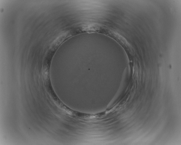 X0000075900513200609151415