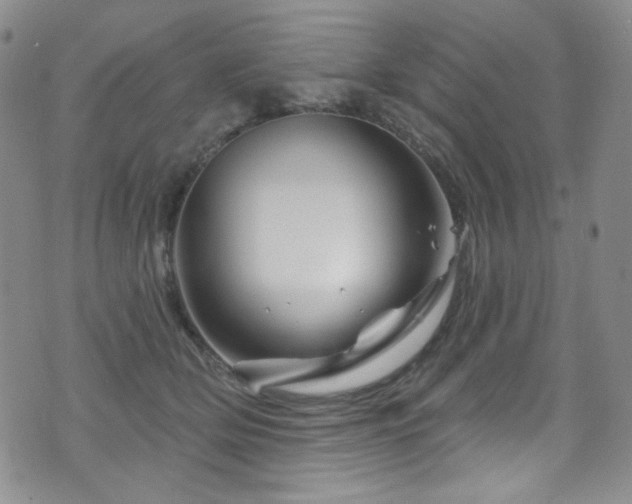 X0000075900514200609151415