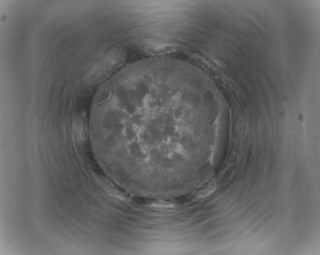 X0000075900515200609151415