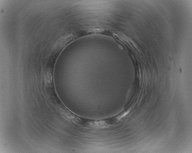 X0000075900517200609151415