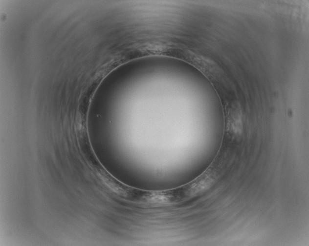 X0000075900518200609151415